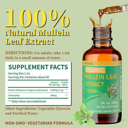 LETSCOL Organic Mullein Drops – 1700mg Mullein Leaf Extract, Non-GMO & Vegan, 2 oz