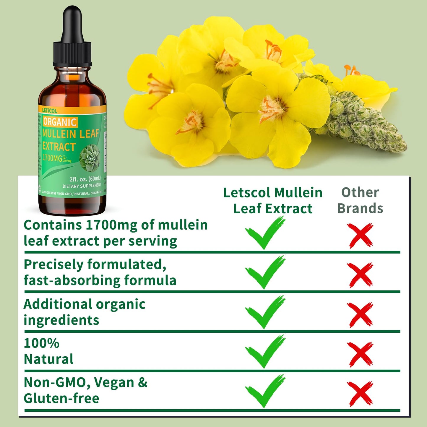 LETSCOL Organic Mullein Drops – 1700mg Mullein Leaf Extract for Lung & Immune Support | Non-GMO, Vegan, 2 Oz