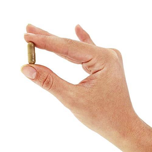 NOW Foods Licorice Root 450mg - 100 VCaps | Herbal Supplement
