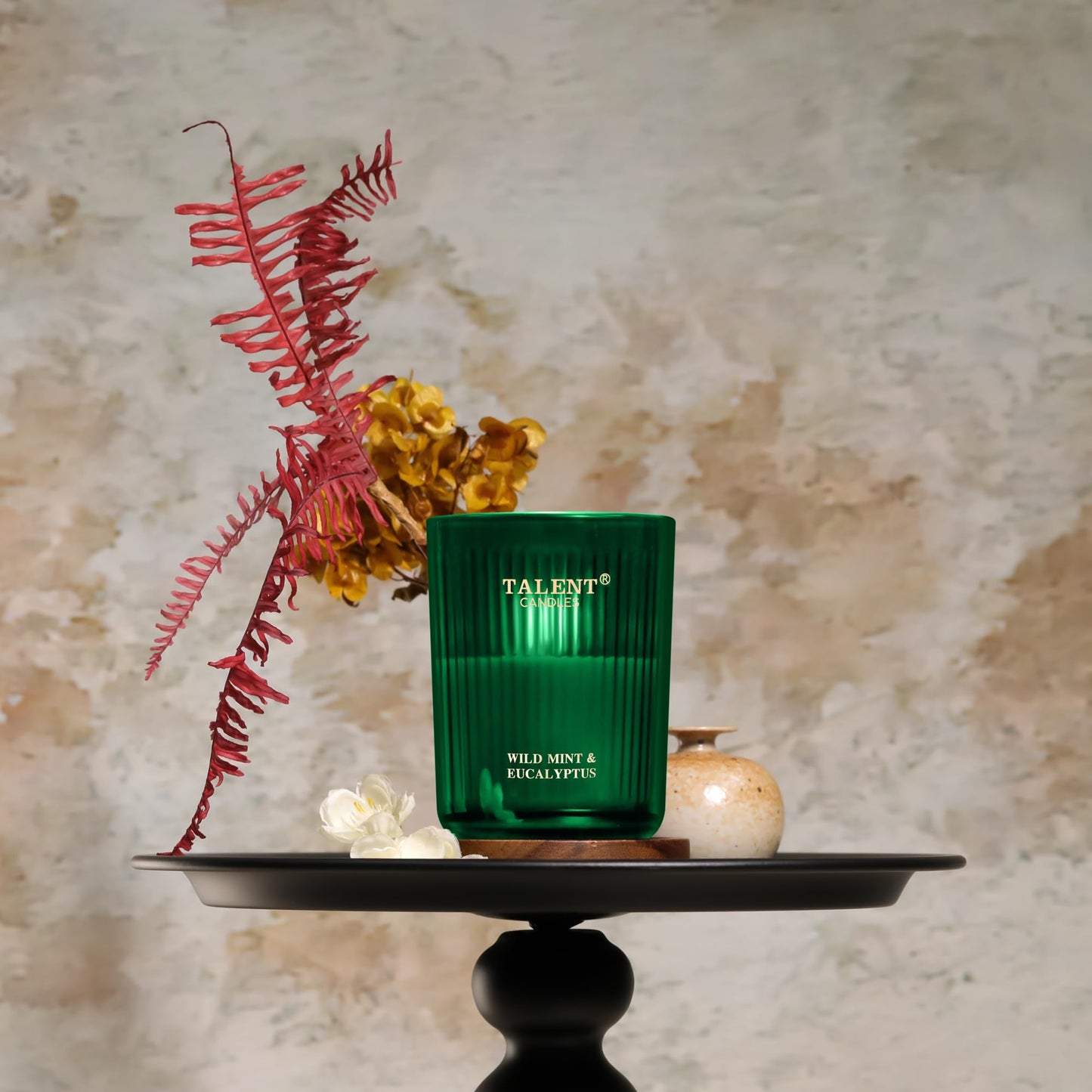 Jar Candles for Home Scent – Natural Soy 8.4oz (Wild Mint & Eucalyptus)