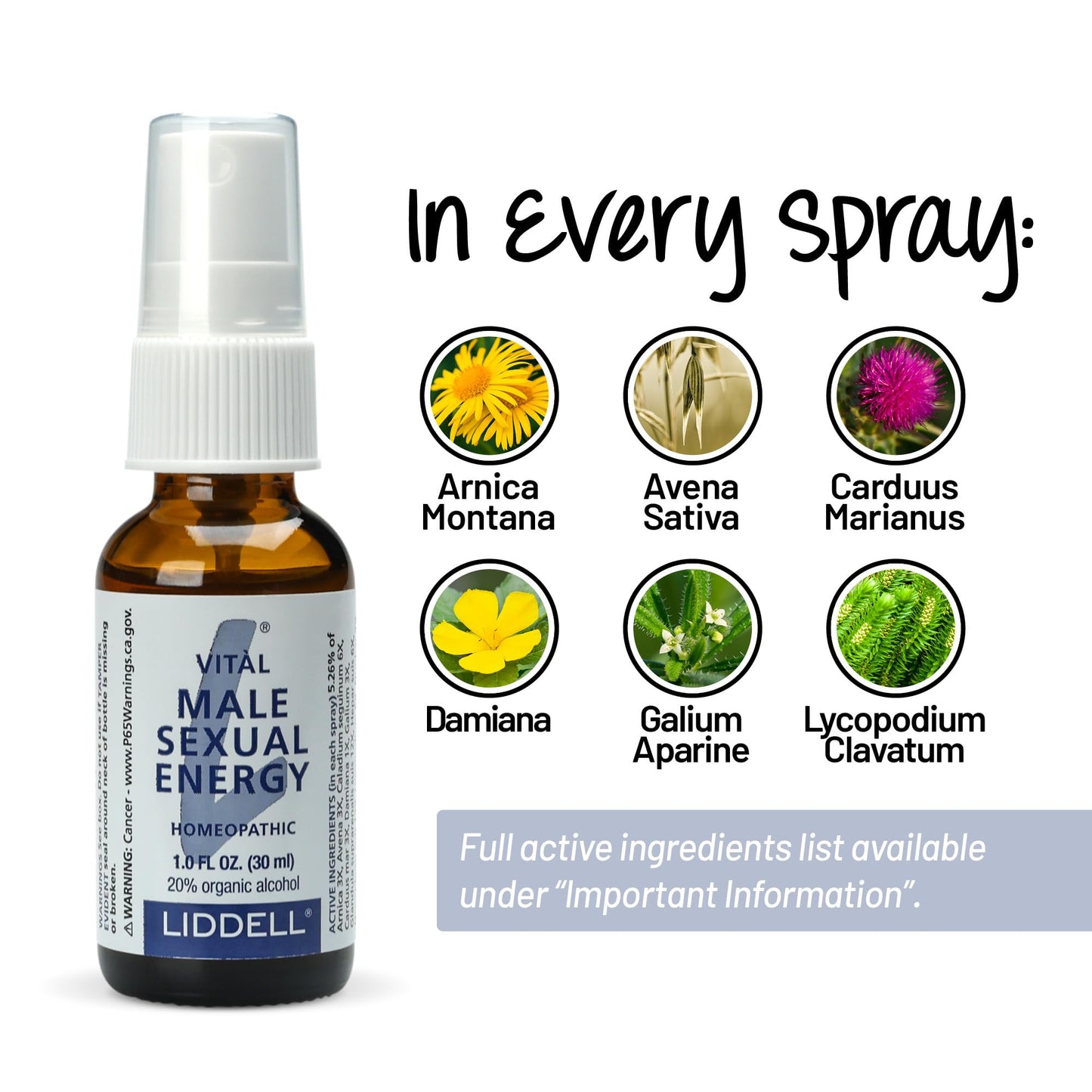 Liddell Homeopathic Vital Male Sexual Energy - 1fl oz (Pack of 2)