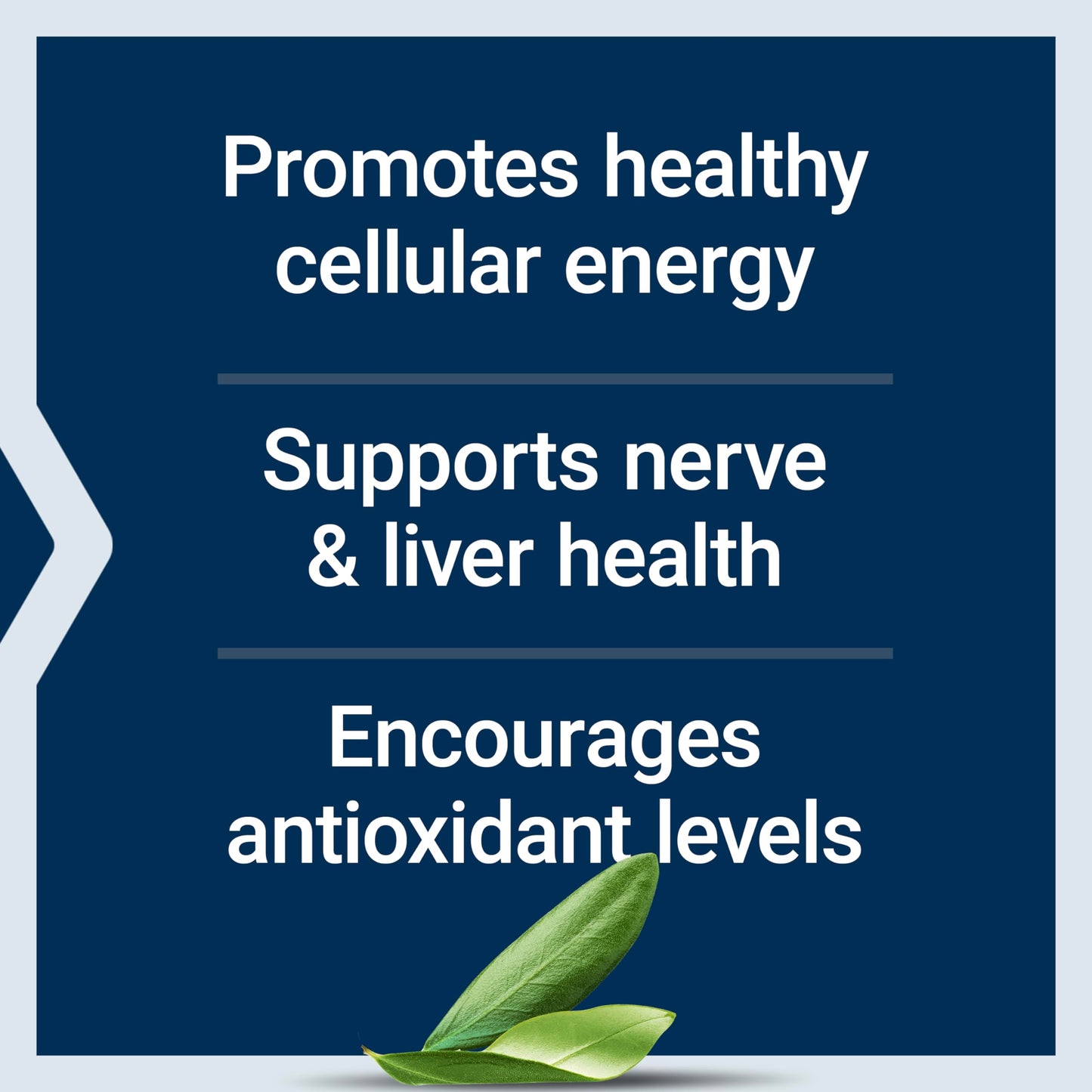 Life Extension Alpha-Lipoic Acid with Biotin – 60 Capsules