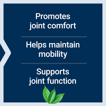 Life Extension Arthro-Immune Joint Support - Curcumin Elite™ Turmeric & Andrographis Paniculata, 60 Capsules