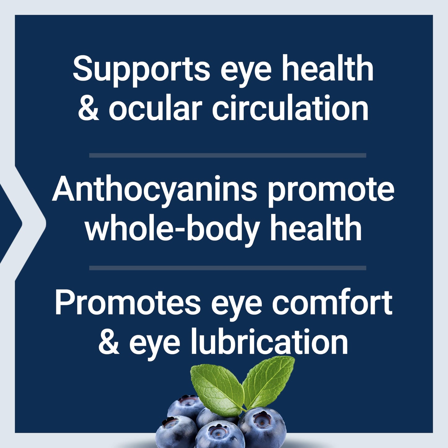 Life Extension European Bilberry Extract 100 mg | MirtoSelect Vaccinium myrtillus | Eye Health, Circulation, 90 Capsules