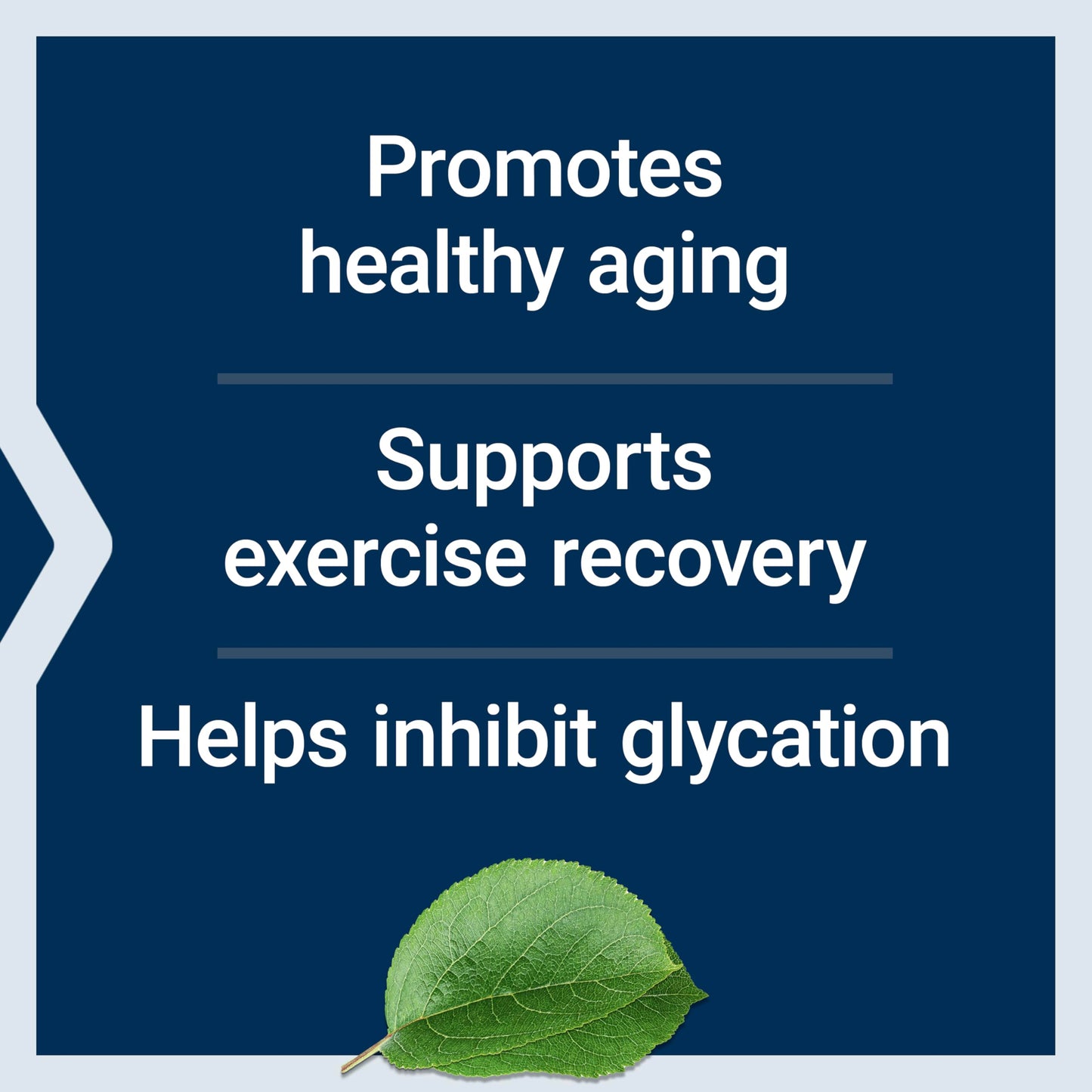 Life Extension Carnosine – Healthy Aging, Exercise Recovery | 60 Vegetarian Capsules