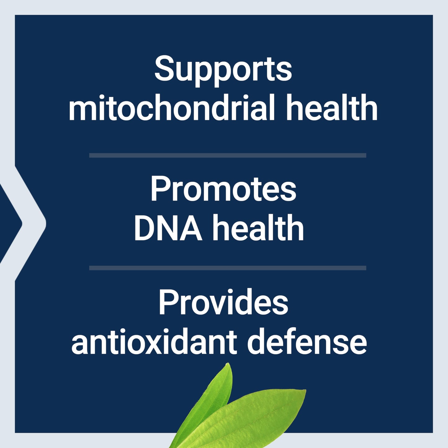 Life Extension Chlorophyllin - Antioxidant & DNA Health Support