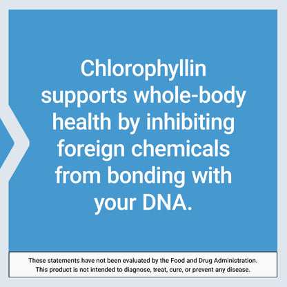 Life Extension Chlorophyllin - Antioxidant & DNA Health Support