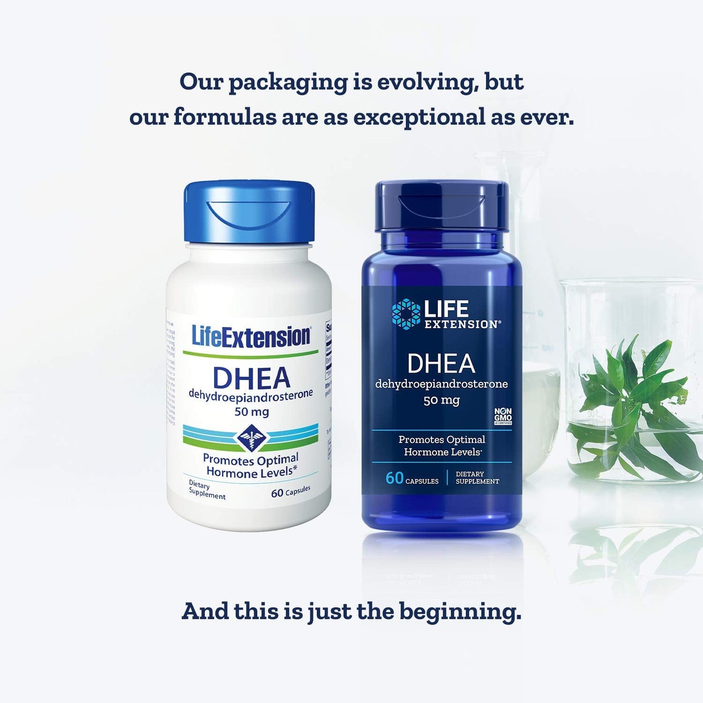 Life Extension DHEA 50 mg – 60 Capsules (2 Pack) | DHEA Supplement
