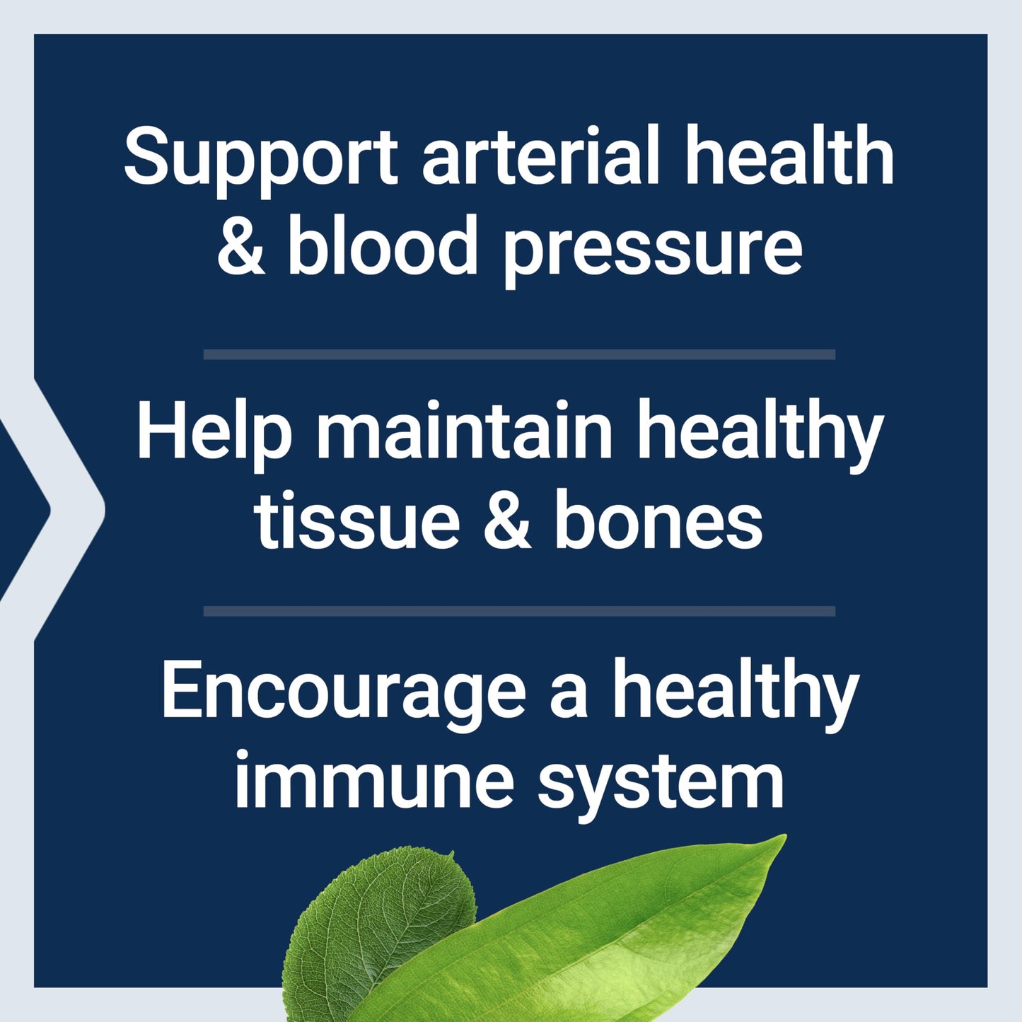 Life Extension L-Arginine Caps 700 mg – Arterial Health & Immune Support, 200 Capsules