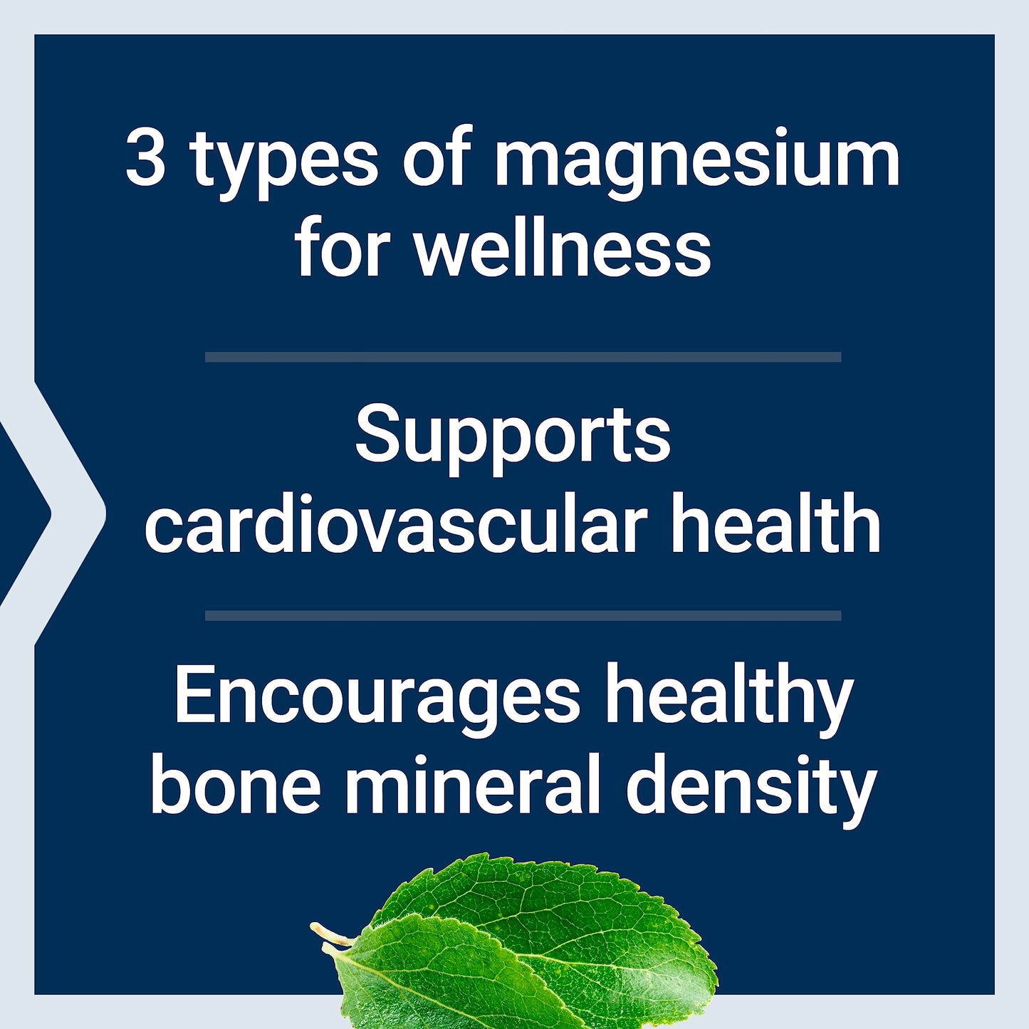 Life Extension Magnesium Caps 500 mg – Mg Oxide/Citrate/Succinate – 2x100 Veg Caps
