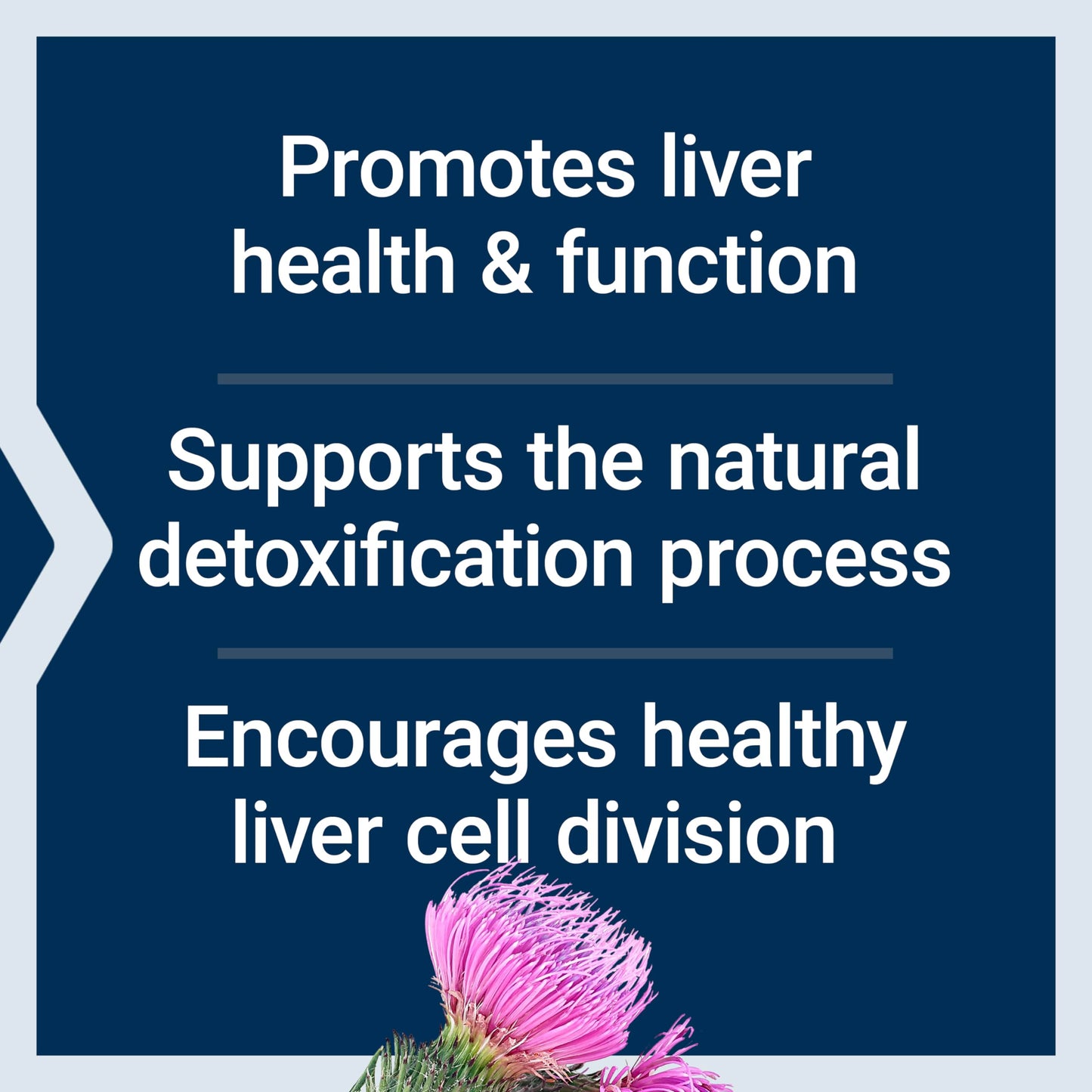 Life Extension Advanced Milk Thistle – Liver Health Support, 60 Softgels | Gluten-Free, Non-GMO