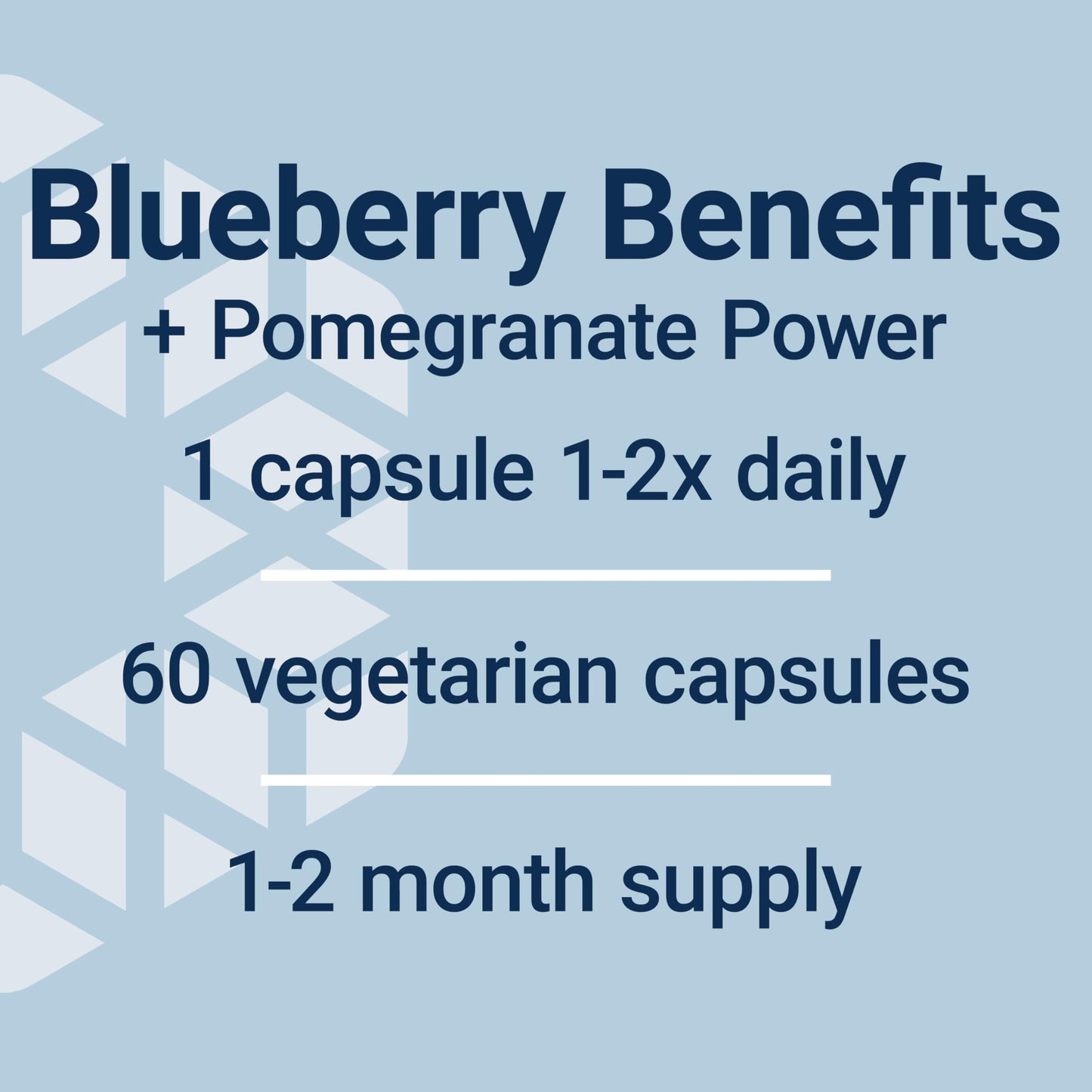 Blueberry Extract & Pomegranate for Arterial Health | 60 Veg Capsules