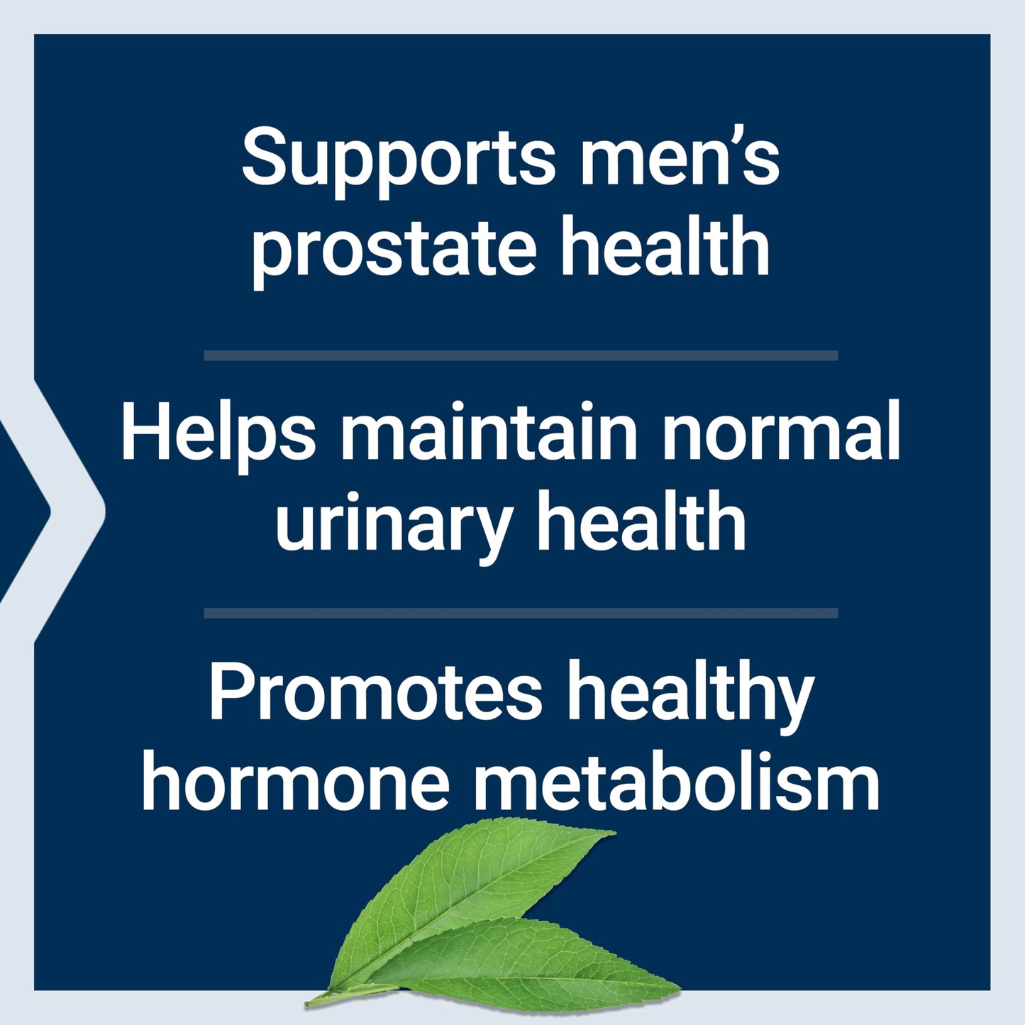 Life Extension PalmettoGuard Saw Palmetto & Nettle Root | Prostate Health