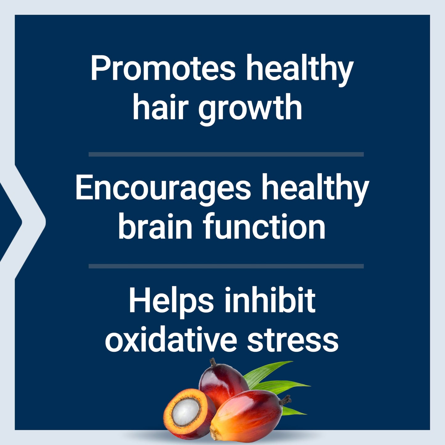 Life Extension Super Absorbable Tocotrienols – Hair Growth & Brain Support, 60 Softgels | Gluten-Free, Non-GMO