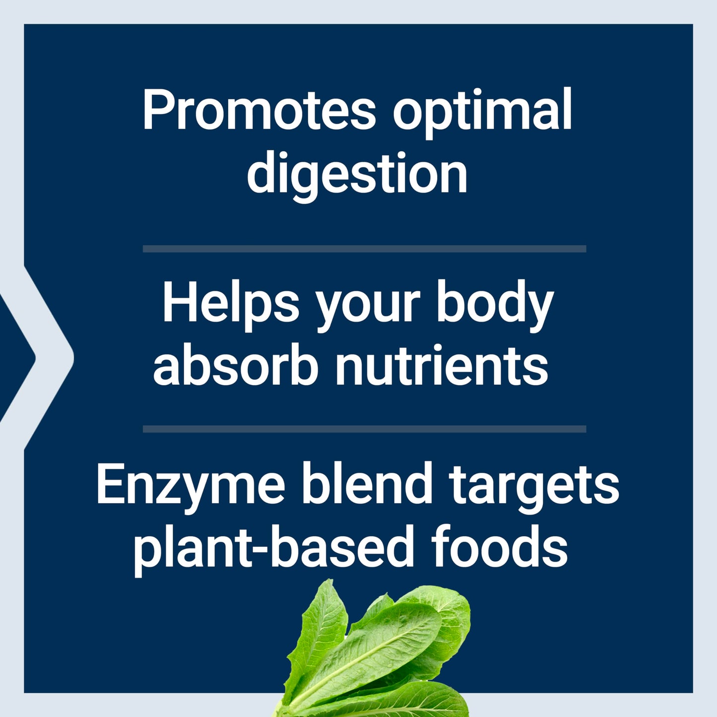 Life Extension Enhanced Super Digestive Enzymes & Probiotics – B. coagulans, 60 Capsules (Non-GMO, Vegetarian)