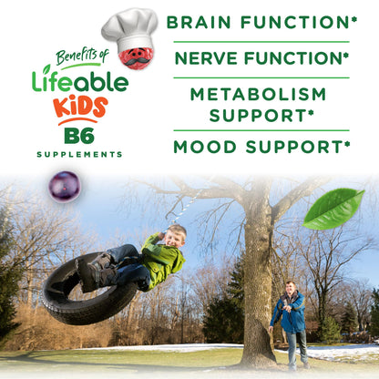 Lifeable Vitamin B6 Gummies for Kids – 50 mg per Gummy, 60 Gummies (2 Pack) – Vegan, Non-GMO, Gluten Free