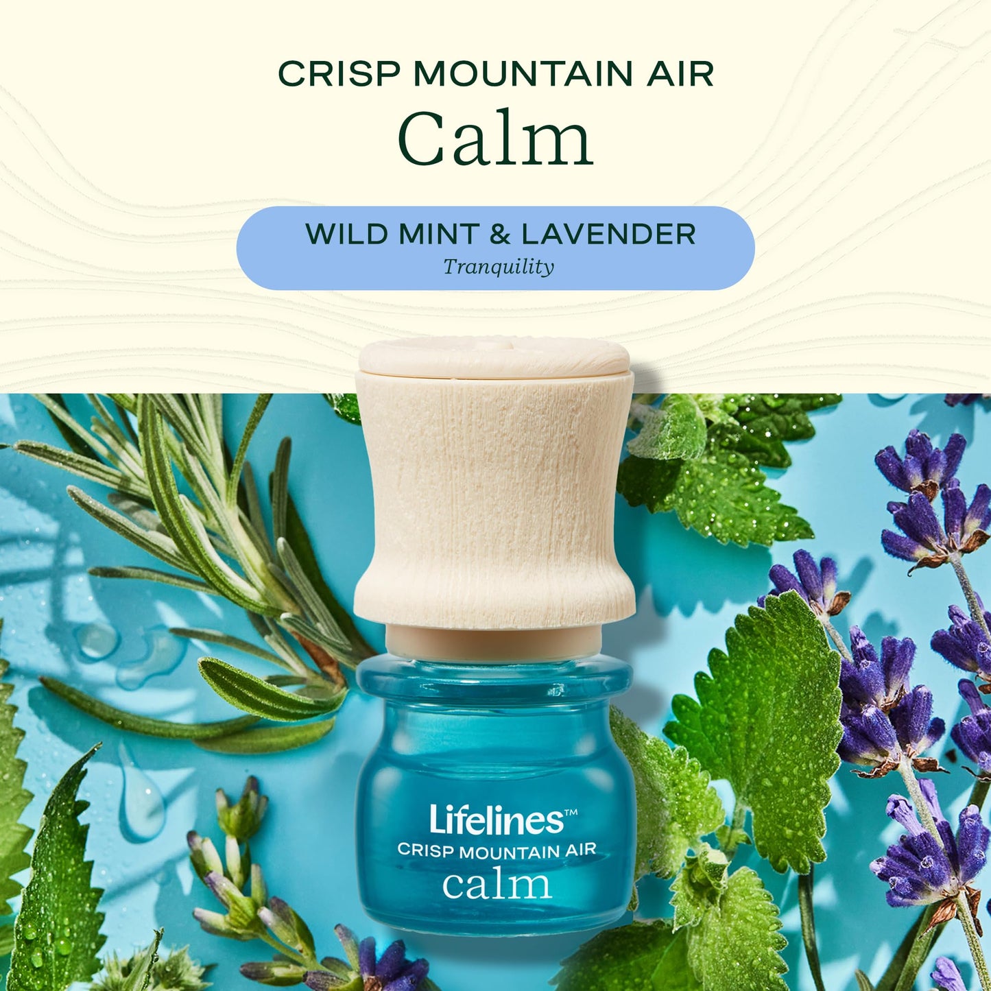 Lifelines Scent-Infused Grounding Stones 2-Pack – Portable Fidget Diffuser