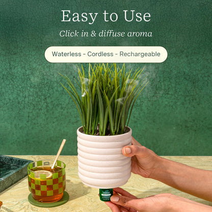 Lifelines Plant Diffuser Bundle — 2 ClickWick Essential Oil Blends | Rechargeable Faux Plant Diffuser & Modern Planter