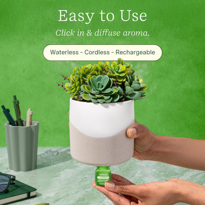 Lifelines Plant Diffuser Bundle – 2 ClickWick Blends | Rechargeable Aromatherapy