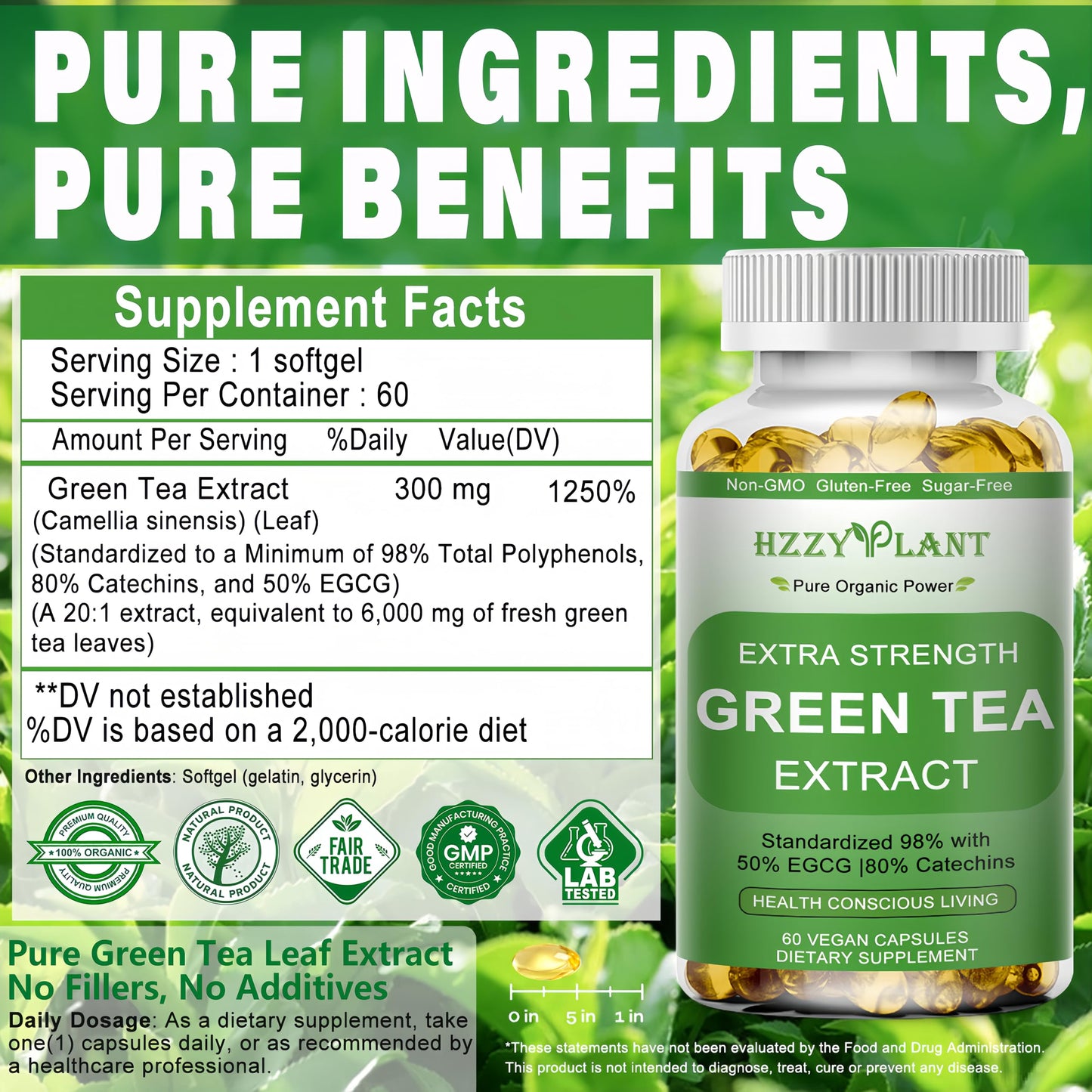 Green Tea Extract Softgels | High Absorption EGCG 50% | Energy & Immune Support