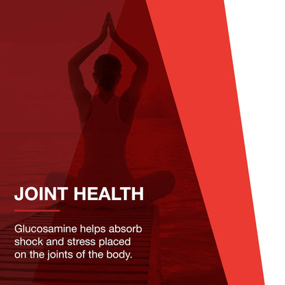 Protocol Glucosamine & Chondroitin with MSM - Joint Support (180 Veg Caps) - Non-GMO & Dairy Free