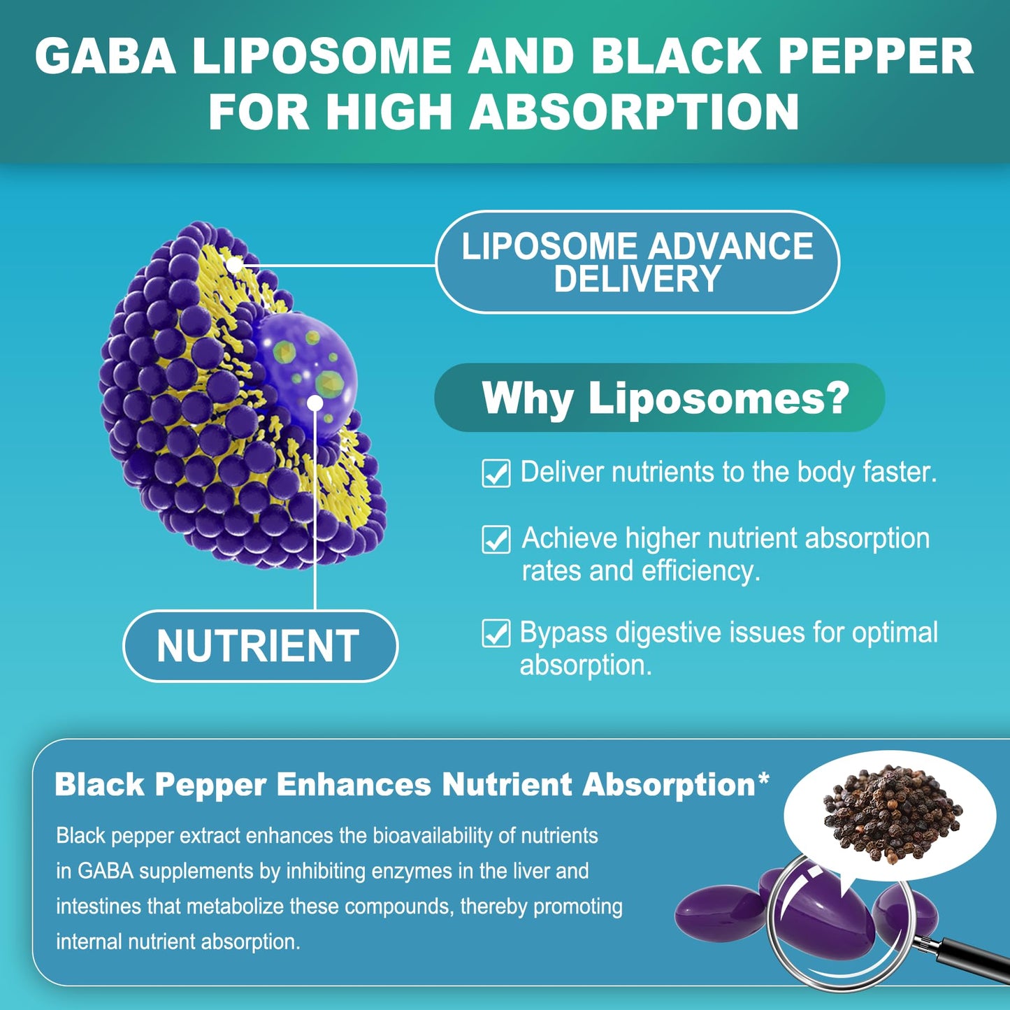 LILICARE GABA 1000mg Liposomal Calm Supplement – 120 Softgels