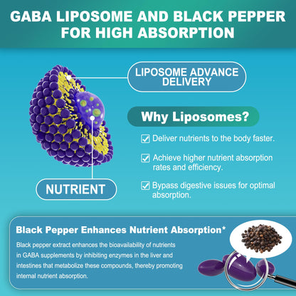 LILICARE GABA 1000mg Liposomal Calm Supplement – 120 Softgels