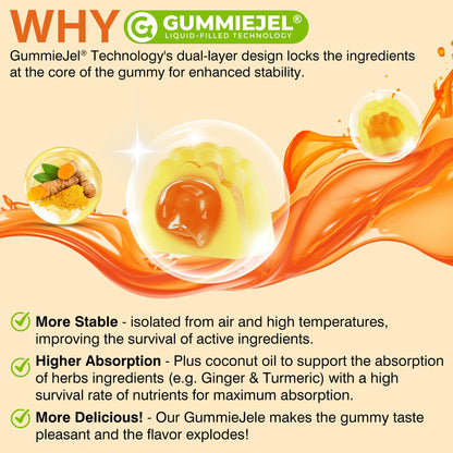 LILICARE Ginger Chews Gummies - Nausea & Digestive Support (60-count, Sugar Free)