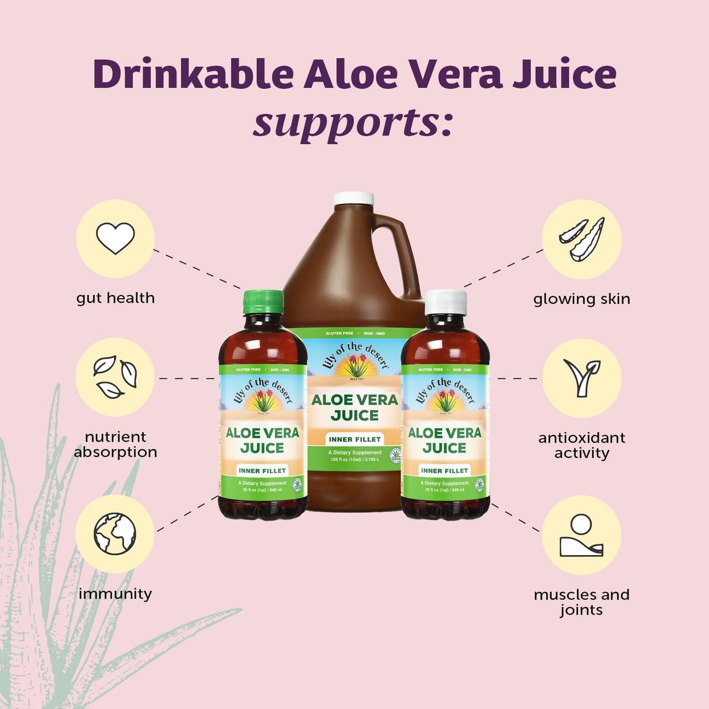 Lily of the Desert Aloe Vera Juice - Inner Fillet, Organic Aloe, Digestive Enzymes, 128 Fl Oz