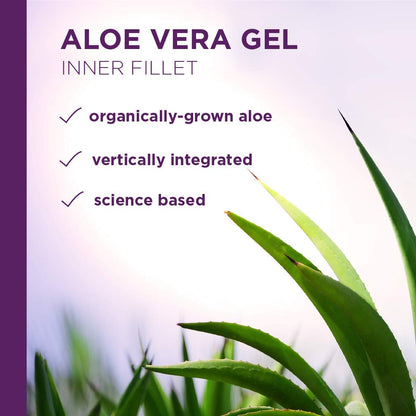 Lily of The Desert Aloe Vera Gel 16 oz (Pack of 2)