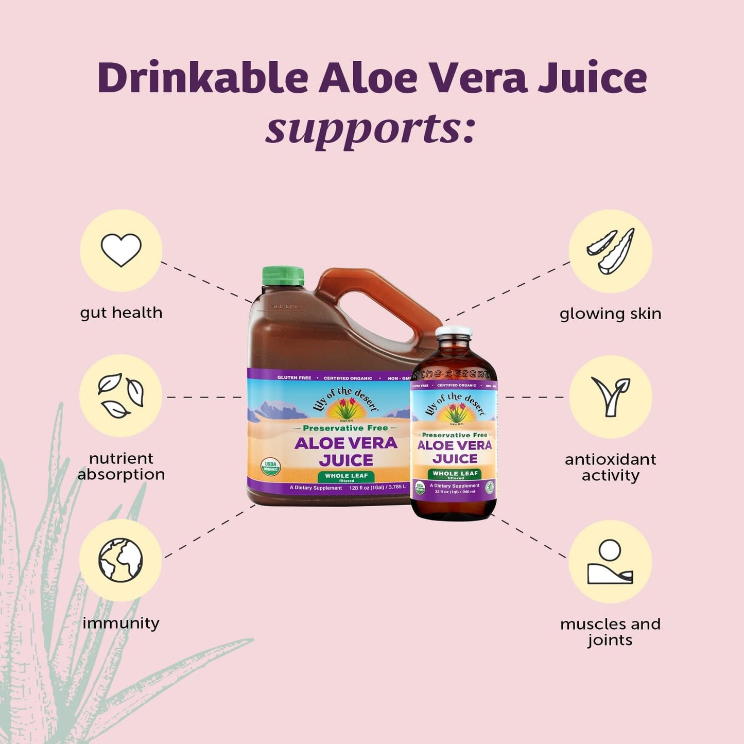 Lily of the Desert Aloe Vera Supplement – Whole Leaf, 32 Fl Oz, 2 Count