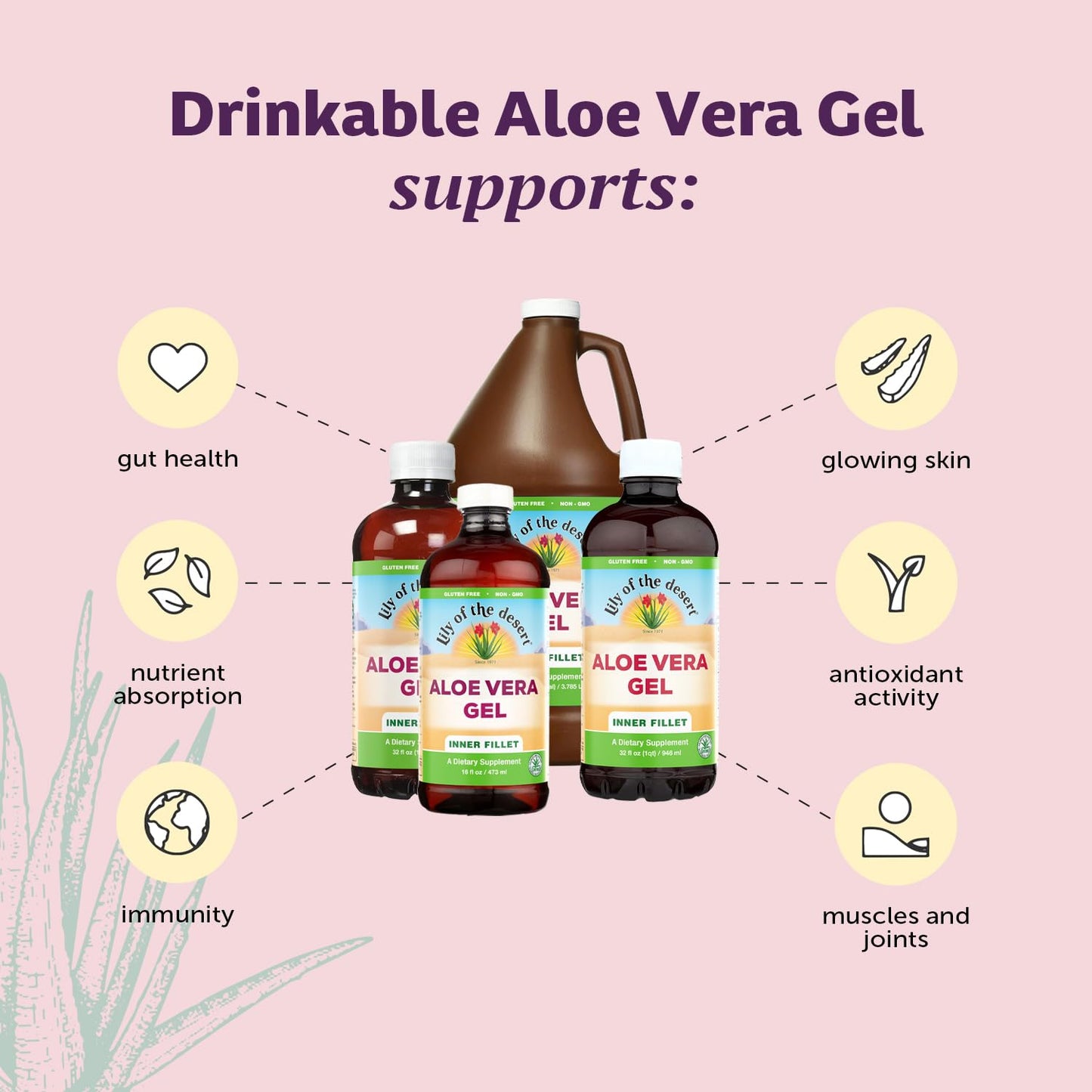 Lily of The Desert Aloe Vera Gel – Inner Fillet Drink for Gut Health (16 oz, Gelly Sachet Included)