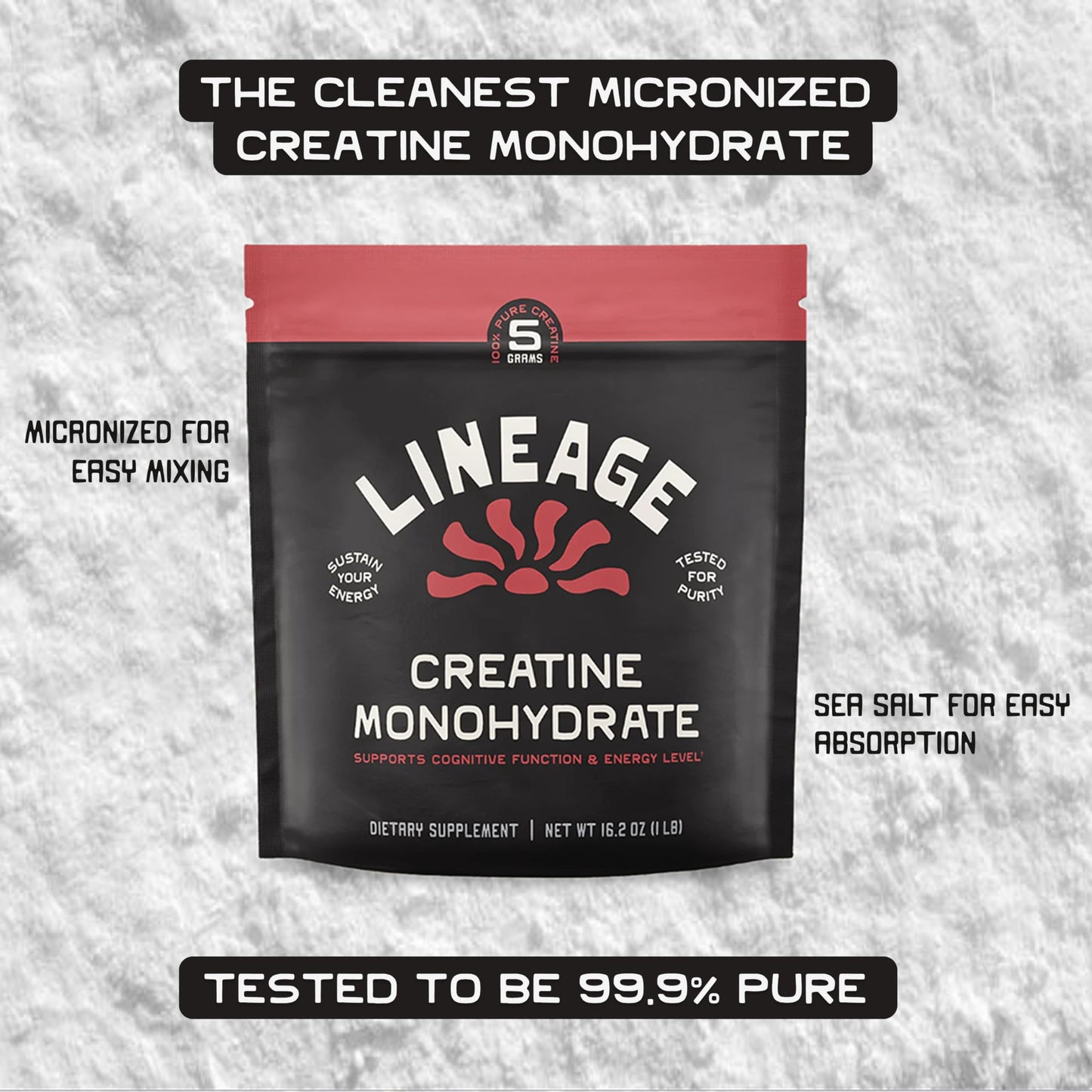 Lineage Provisions Micronized Creatine Monohydrate with Sea Salt – Micronized Creatine Powder for Training & Performance | 90 Servings