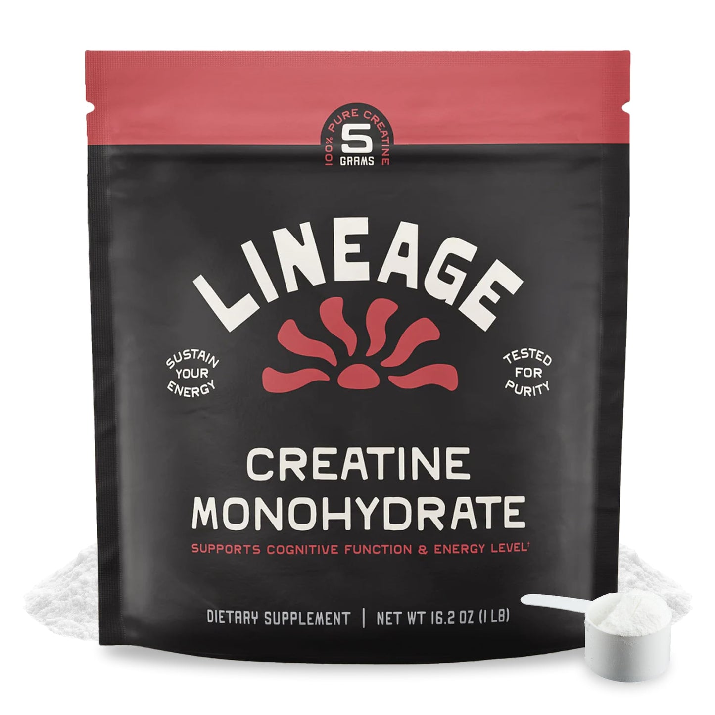 Lineage Provisions Micronized Creatine Monohydrate with Sea Salt – Micronized Creatine Powder for Training & Performance | 90 Servings