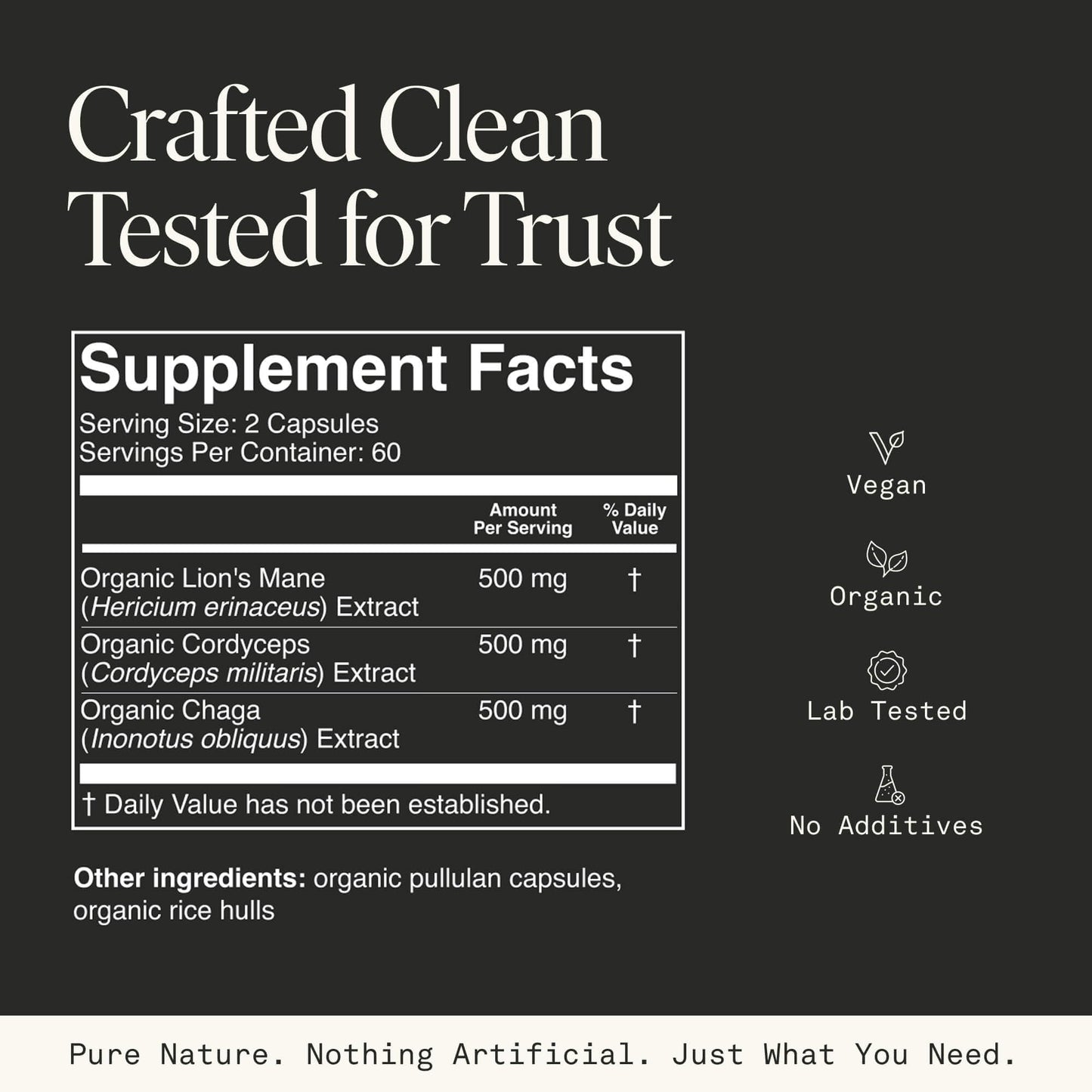 Mushroom Supplement with Lions Mane, Chaga & Cordyceps – USDA Organic, Vegan, 120 Caps (2-Month Supply)