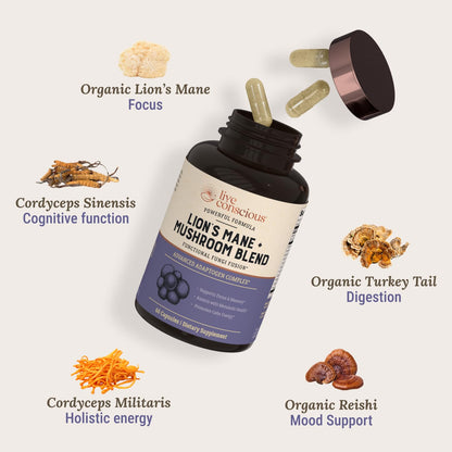Live Conscious Lions Mane Mushroom Supplement Capsules for Brain Support - Lion's Mane, Cordyceps, Reishi & Turkey Tail