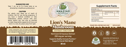 Lion’s Mane Extract Tincture 250mg – Dual-Extracted Nootropic, 1oz