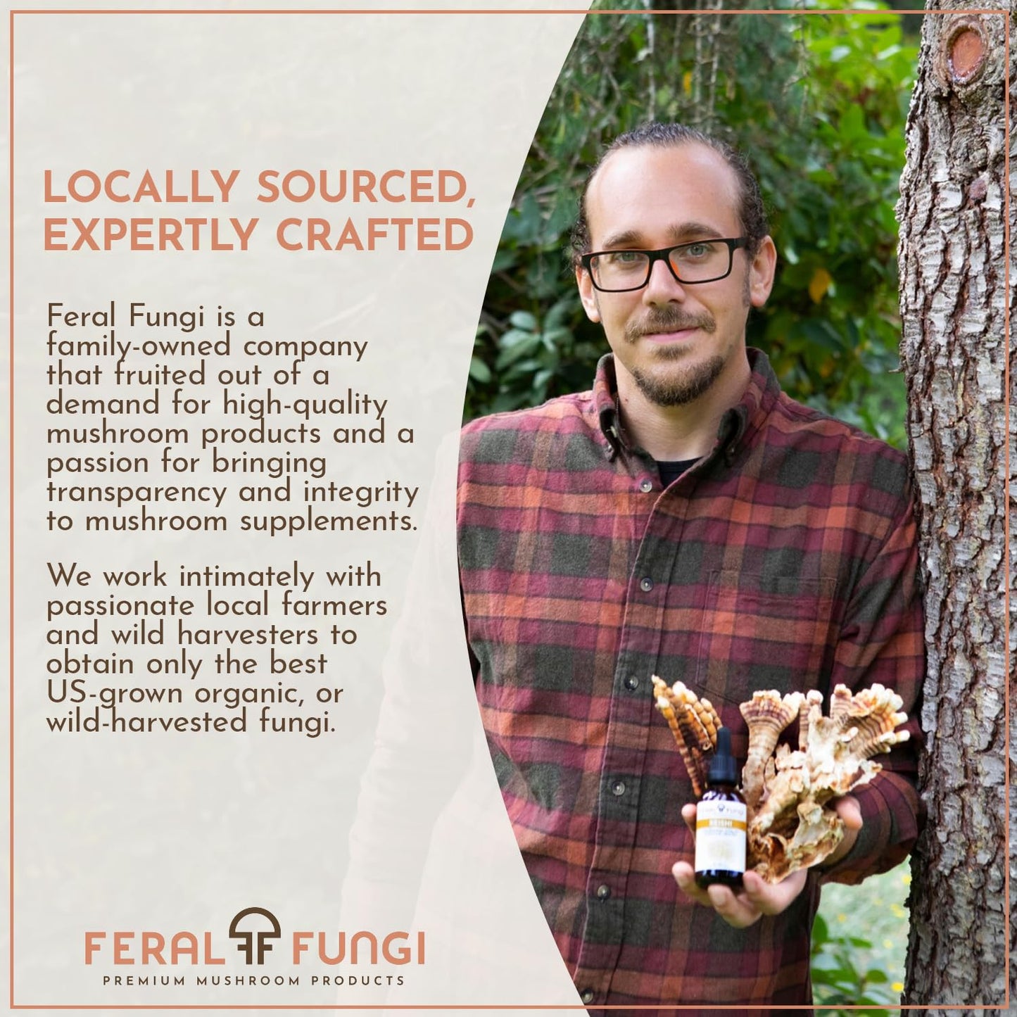 Feral Fungi Myco-Clarity Tincture - 100% Pure Mushroom Extract | USA-Grown 1 oz
