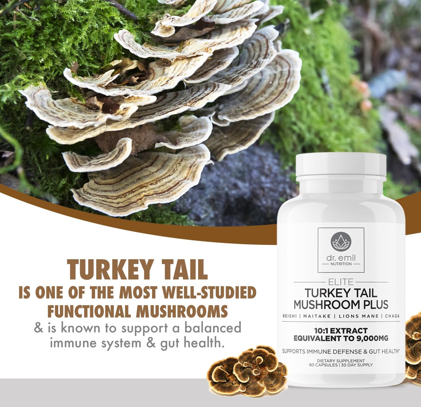 Dr. Emil Nutrition Turkey Tail Mushroom Capsules – Immunity & Gut Health Formula with Lion's Mane, Chaga, Reishi & Maitake