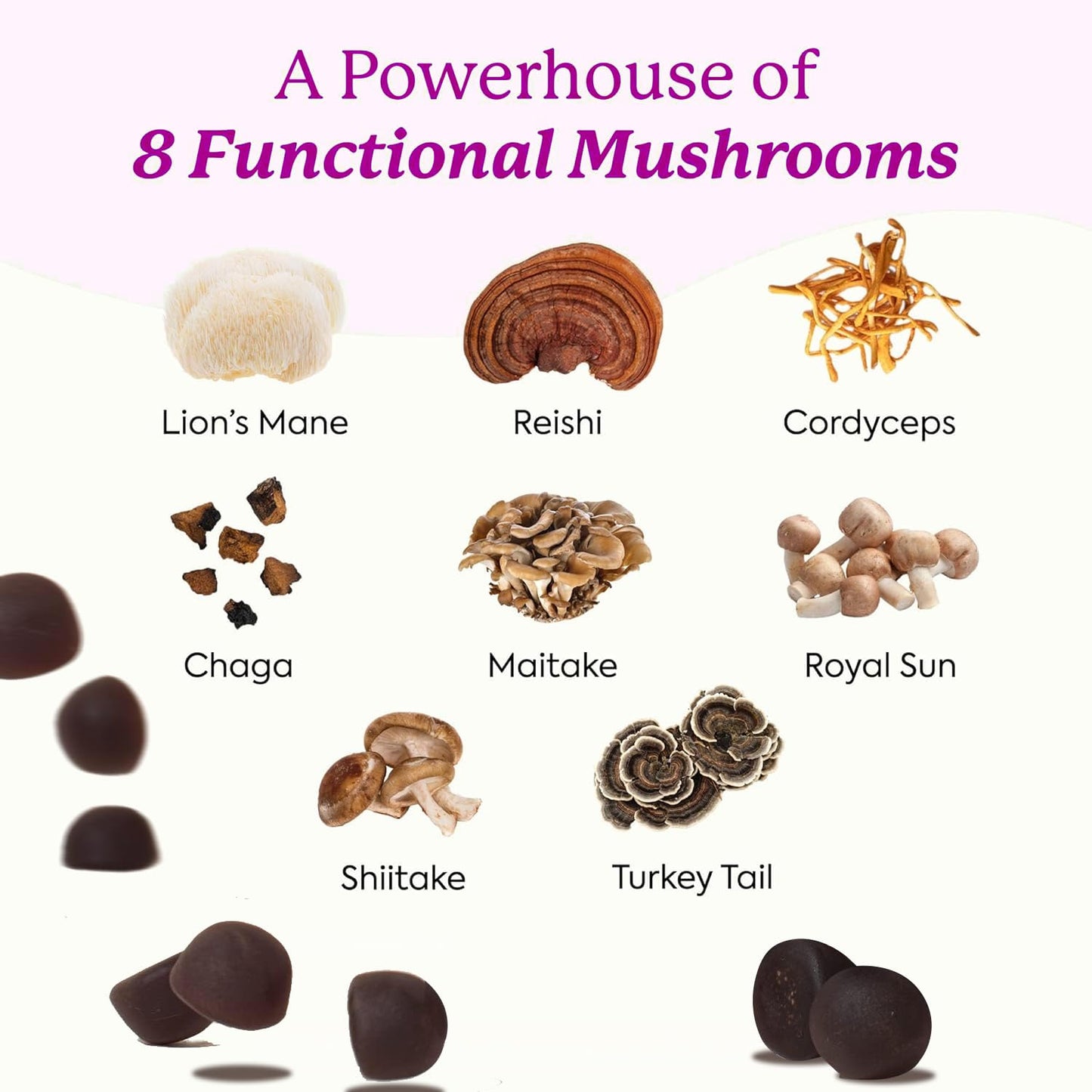 Lions Mane Mushroom Gummies - 12-Mushroom Brain Support, Blueberry, 60 Gummies