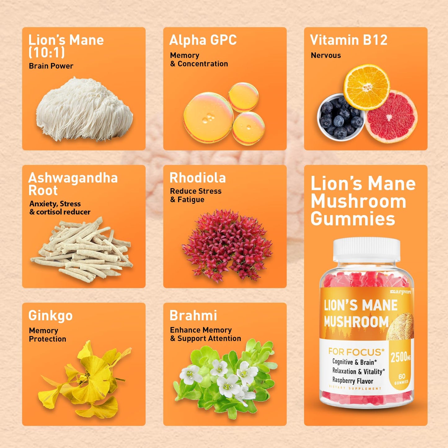 Lions Mane Gummies with Ashwagandha & Alpha GPC – Organic Lion's Mane, 60 Count