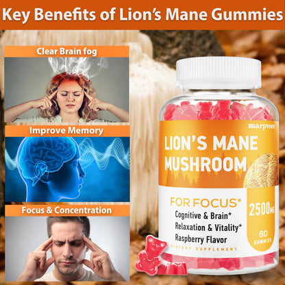 Lions Mane Gummies with Ashwagandha & Alpha GPC – Organic Lion's Mane, 60 Count