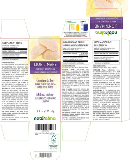 Naturalma Lion's Mane Tincture (Hericium erinaceus) - Alcohol-Free, 4 fl oz Drops - Vegan