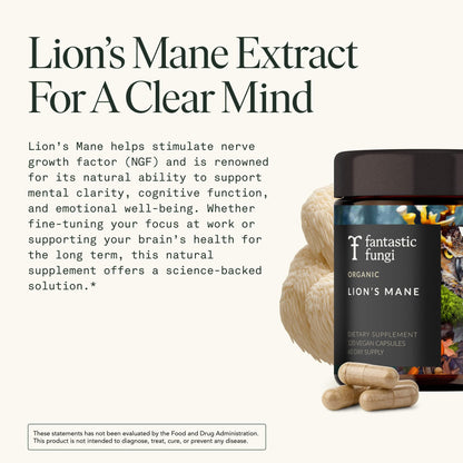 Lions Mane Mushroom Capsules – Memory, Focus & Mood Support | USDA Organic, Vegan, 120 Caps