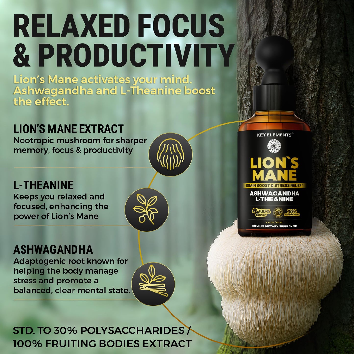KEY ELEMENTS Lions Mane Extract for Memory, Focus & Brain Health – Tincture with Ashwagandha & L-Theanine