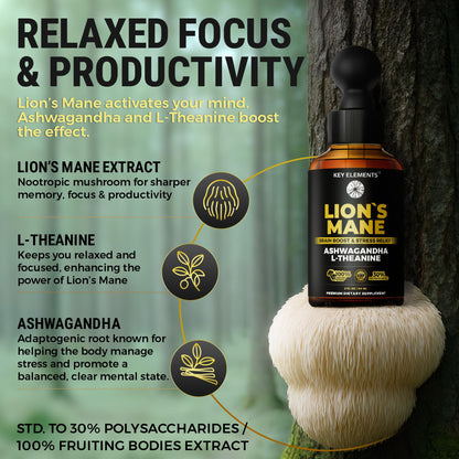 KEY ELEMENTS Lions Mane Extract for Memory, Focus & Brain Health – Tincture with Ashwagandha & L-Theanine
