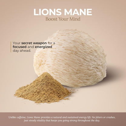 Healing Mushrooms Lion's Mane Pure Powder – Brain Superfood for Clarity, Memory & Focus (100 g)