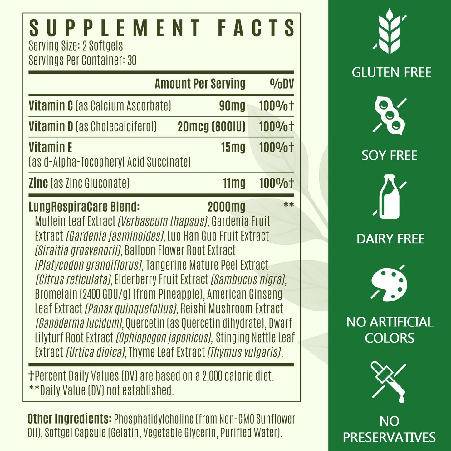 Liposomal Lung Cleansemax Supplement – Mullein Leaf & Elderberry, Quercetin + 13 Herbs & Vitamins | 120 Capsules