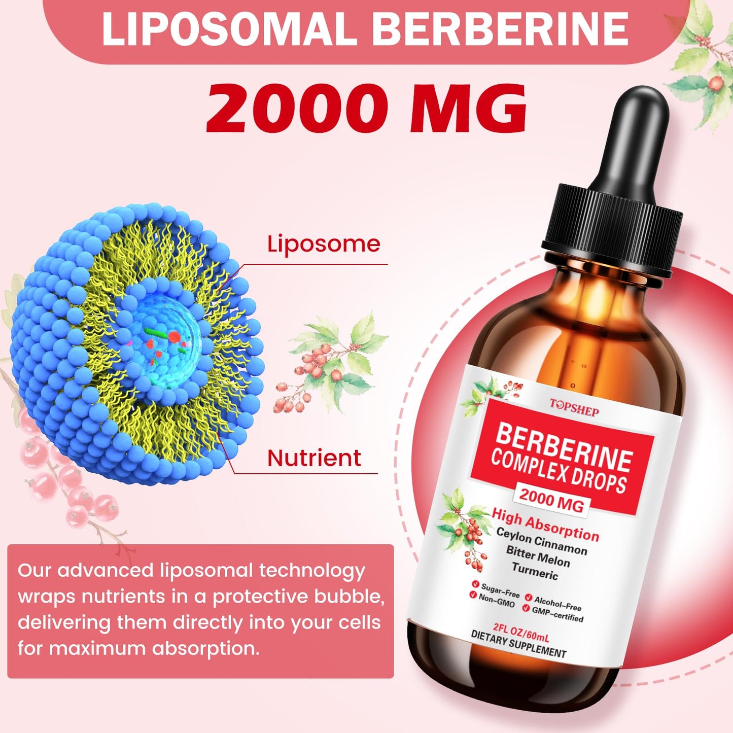 Liposomal Berberine HCL Liquid Drops 1500mg – Cinnamon & Herbal Digestive & Immune Support