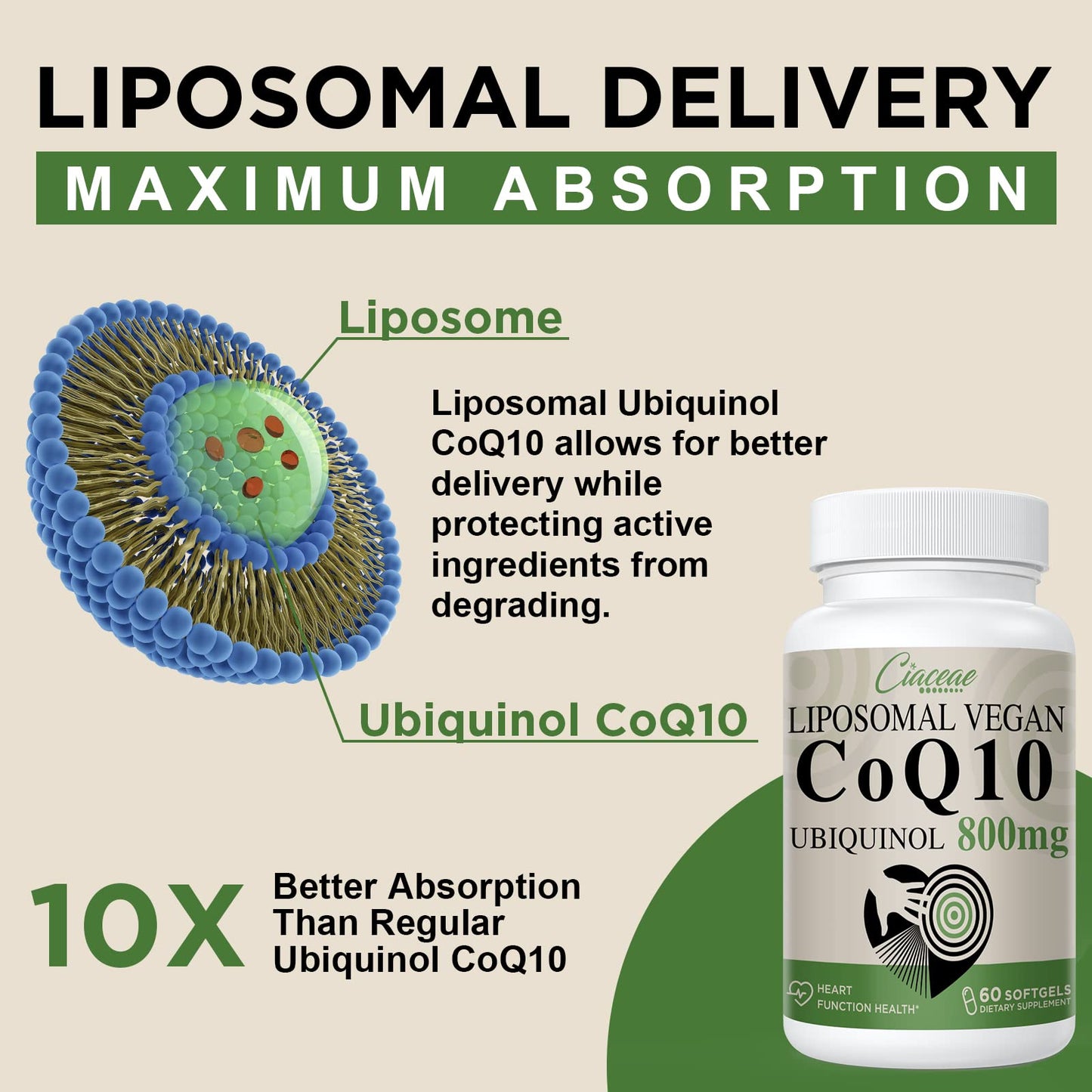 Liposomal CoQ10 800mg Ubiquinol Softgel, Max Absorption Ubiquinol CoQ10, Ubiquinol CoQ10 Supplement for Antioxidant, Heart Function & Energy Production, Pure CoQ10 800mg, 60 Vegan Softgels